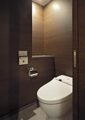 a bathroom with a white toilet and a mirror at Akasaka Granbell Hotel in Tokyo