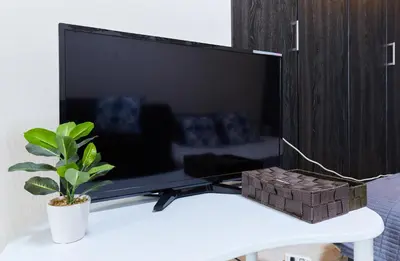 a tv sitting on a white table with a plant at H-Nishikamata ColorBee House in Tokyo