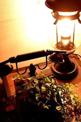a lamp and a plant sitting on a table at Origami Residential Suite - Tokyo Asakusa Skytree in Tokyo
