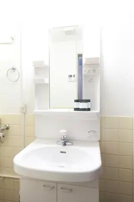 a bathroom with a white sink and a mirror at Shin Okubo Sekitei in Tokyo