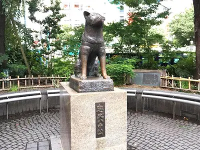 a statue of a dog standing on a pedestal at Shibuya Stay Tokyo A101 in Tokyo