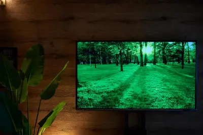 a television screen with a picture of a park at Garden Otsuka in Tokyo