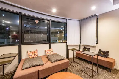 two beds in a room with cats on the windows at bnb+ Asakusa Kuramae in Tokyo