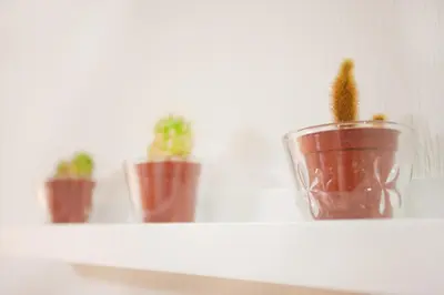 three potted plants sitting on a shelf at Hanabi Hotel in Tokyo