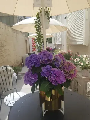 a vase filled with purple flowers sitting on a table at Blue Empire Hotel in Tokyo