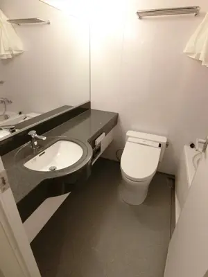 a bathroom with a white toilet and a sink at Studio Inn Nishi Shinjuku in Tokyo