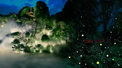a view of a misty forest at night at Hotel Chinzanso Tokyo in Tokyo
