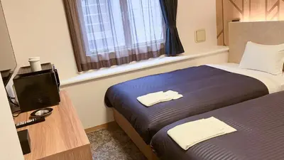 a hotel room with a bed and a television at HOTEL LiVEMAX BUDGET Shinbashi in Tokyo