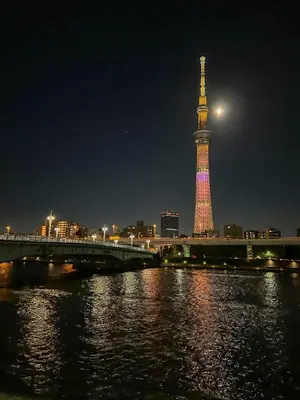 a view of the eiffel tower lit up at night at Guest House Siesta in Tokyo