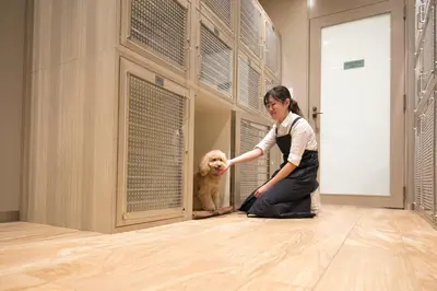 a woman is petting a dog in a room at Sheraton Grande Tokyo Bay Hotel in Urayasu