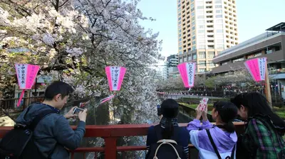 a group of people taking pictures of kites at COCO Nakameguro301 in Tokyo