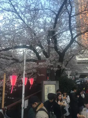 a group of people walking down a street with trees at COCO Nakameguro302 in Tokyo