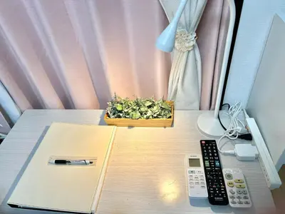 a remote control and a plant in a box on a desk at COCO Nakameguro302 in Tokyo