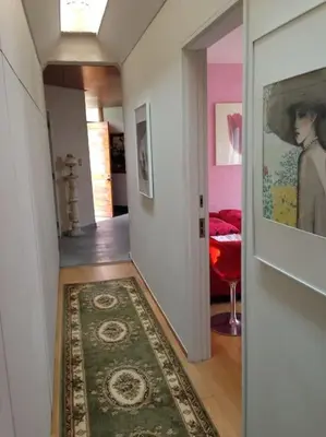 a hallway with a living room with a rug at near shibuya quiet residential area in Tokyo