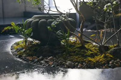 a close up of a pot with plants in it at cyashitsu ryokan asakusa in Tokyo