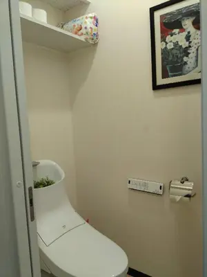 a bathroom with a white toilet in a room at \u4e0a\u91ce\u5fa1\u5f92\u753a\u79cb\u8449\u539f\u307e\u3067\u5f92\u6b69\u570f-JR\u5fa1\u5f92\u753a\u307e\u30673\u5206-Room\u30ed\u30fc\u30bc201 in Tokyo