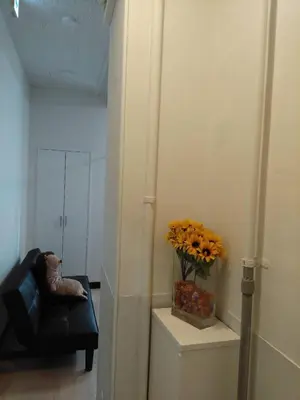 a living room with a couch and a vase of flowers at \u4e0a\u91ce\u5fa1\u5f92\u753a\u79cb\u8449\u539f\u307e\u3067\u5f92\u6b69\u570f-JR\u5fa1\u5f92\u753a\u307e\u30673\u5206-Room\u30ed\u30fc\u30bc201 in Tokyo