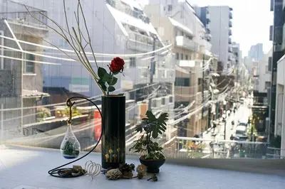 a vase with a flower on a window sill at \u65b0\u5bbf\u90fd\u5fc3JR\u5c71\u624b\u7ebf\u6b65\u884c3\u5206\u949f\u5bb6\u5ead\u7ec4\u56e2\u51fa\u6e38\u9996\u9009\u4e1c\u4eac\u5e02\u666f\u97e9\u56fd\u6b65\u884c\u8857\u514d\u8d39WiFi in Tokyo