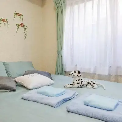 Cosmo Mercy N-1 / Vacation STAY 12990