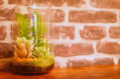 a glass jar with plants in it sitting on a table at Prime Stage Otsuka Ikebukuro P203 in Tokyo