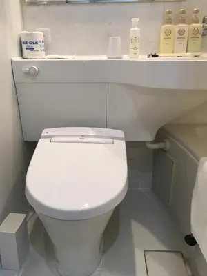 a bathroom with a white toilet and a sink at Shinbashi Urban Hotel in Tokyo