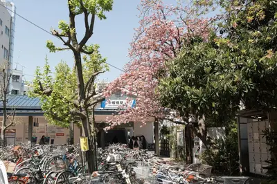 a bunch of bikes parked in front of a building at nestay house tokyo itabashi 02 in Tokyo