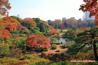 a park in the fall with a pond and trees at Triphome Ikebukuro Tokyo Max 7ppls FREE WIFI in Tokyo