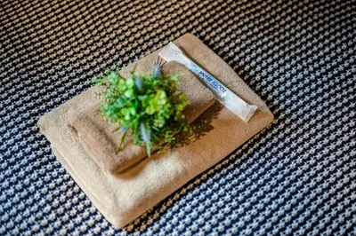 a plant sitting on top of a piece of paper at IKIDANE Residential Hotel Komagome in Tokyo