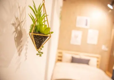 a plant hanging on a wall next to a bed at SMILE STAY Shinnakano in Tokyo