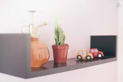 a shelf with a plant and a vase and toy cars at Shibuya Lions Mansion#1DK in Tokyo