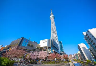 a view of the eiffel tower in a city at Tabist Hotel Florida Ikebukuro in Tokyo
