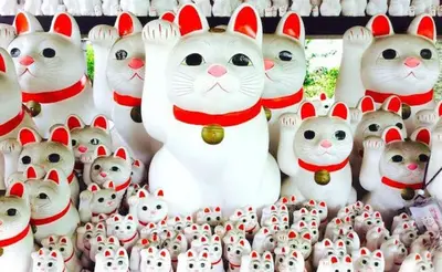 a group of white cat figurines in a store at minimalist\u7d4c\u5802\u306e\u5c0f\u3055\u306a\u304a\u90e8\u5c4b in Tokyo
