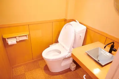 a bathroom with a white toilet and a sink at Ueno Residence Hotel Matsumoto in Tokyo