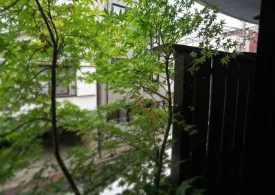 a view of a building through a tree at Stay Well & Give Well, Full Building in Asakusa in Tokyo