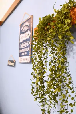 a green plant hanging from a white wall at TOMARIE Residential Suite Edogawa in Tokyo