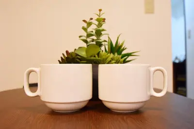 two white coffee mugs sitting on a table with a plant at TOMARIE Residential Suite Edogawa in Tokyo