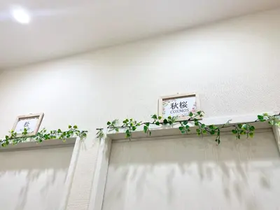 a curtain rod with a plant on it at Upper Hotel Ryogoku in Tokyo