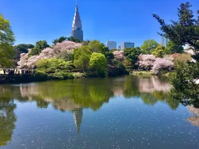 a view of a river with trees and a building at Hotel Koryukaku in Tokyo