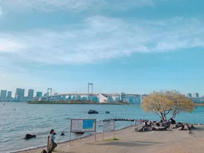 a person walking on the beach near the water with a bridge at HOTEL TAVINOS Hamamatsucho - Vacation STAY 51015 in Tokyo