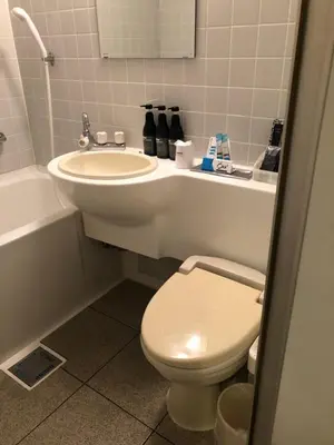 a bathroom with a white toilet and a sink at Roppongi Plaza Hotel in Tokyo