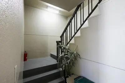 a staircase with a potted plant in a room at Kamiya TK Building 203 in Tokyo