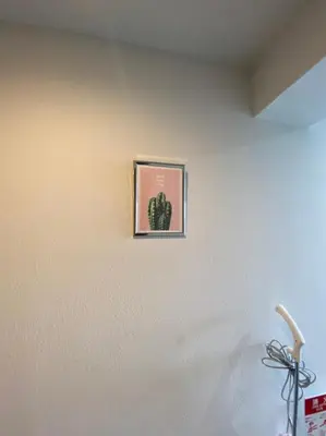 a picture of a cactus on a wall at Takemura Building 301 in Tokyo