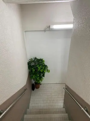 a bathroom with a plant in the corner of a room at Takemura Building 3F in Tokyo