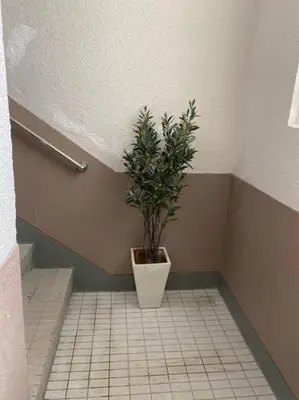 a potted plant sitting on the corner of a bathroom at Takemura Building 3F in Tokyo