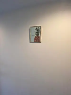 a picture of a pineapple on a wall at Takemura Building 305 in Tokyo