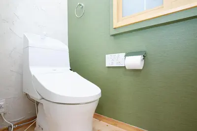 a bathroom with a white toilet and a green wall at SAKURANOMA in Tokyo