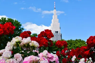 a pile of red and white flowers in front of a white tower at Stay SAKURA Tokyo Shinjuku Hyakukura in Tokyo