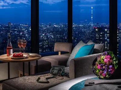 a room with a view of a city at night at Mitsui Garden Hotel Toyosu Premier - Tokyo in Tokyo