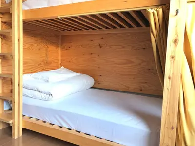 a bunk bed in a wooden bunk room at \u30b2\u30b9\u30c8\u30cf\u30a6\u30b9\u3077\u308c\u305c\u3093\u3068 in Tokyo
