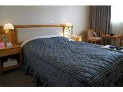a hotel room with a bed and a desk and a bed at Hotel Siena in Tokyo